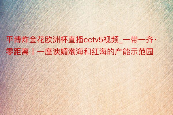 平博炸金花欧洲杯直播cctv5视频_一带一齐·零距离丨一座谀媚渤海和红海的产能示范园